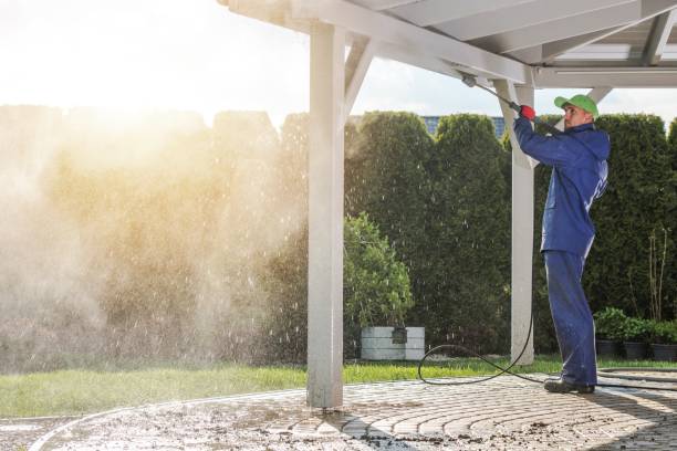 Best Rust Removal  in West Springfield, VA